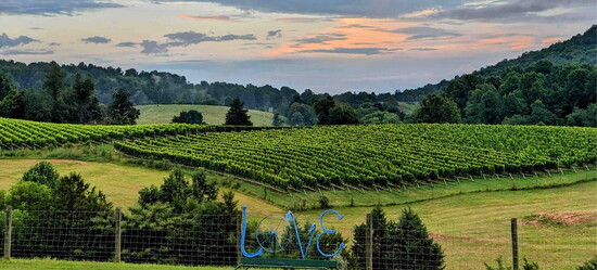 The view at Blue Quartz Winery/Shotwell Run Brewery. Photo courtesy of Blue Quartz Winery.
