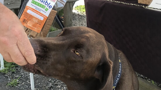 A pup and treats. Photo Courtesy of Barry Rosenberg