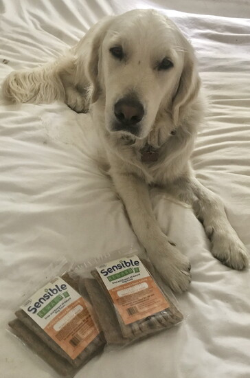 A pup and treats. Photo Courtesy of Barry Rosenberg
