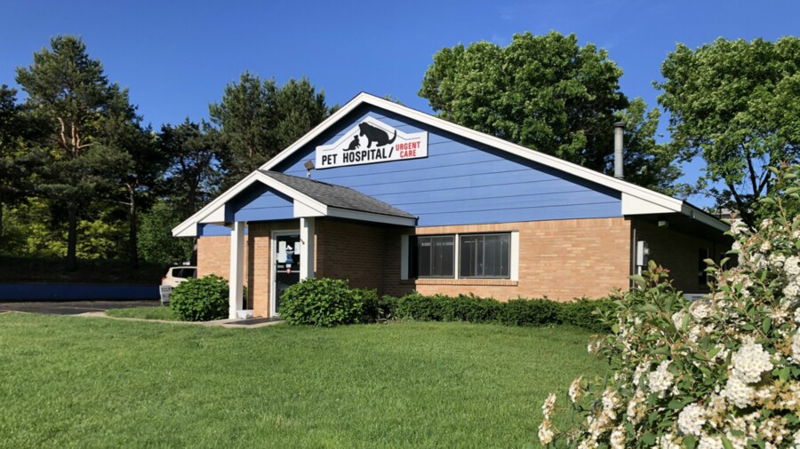 Near me sale pet hospital