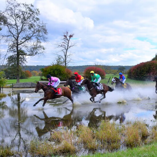 Potomac Lifestyle Exclusive Tent Access to The Gold Cup