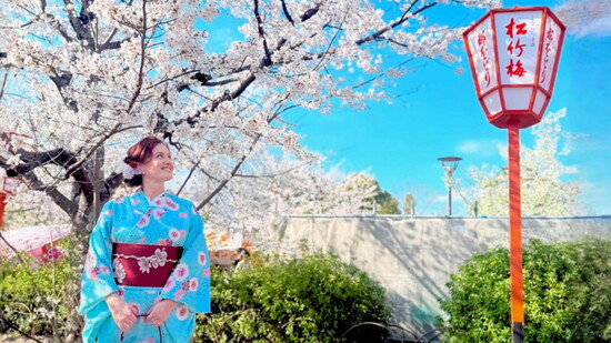 Cherry Blossom Festival, Maruyama Park, Gion District, Kyoto Japan