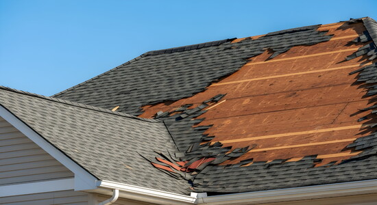 Hurricane Damage cannot wait