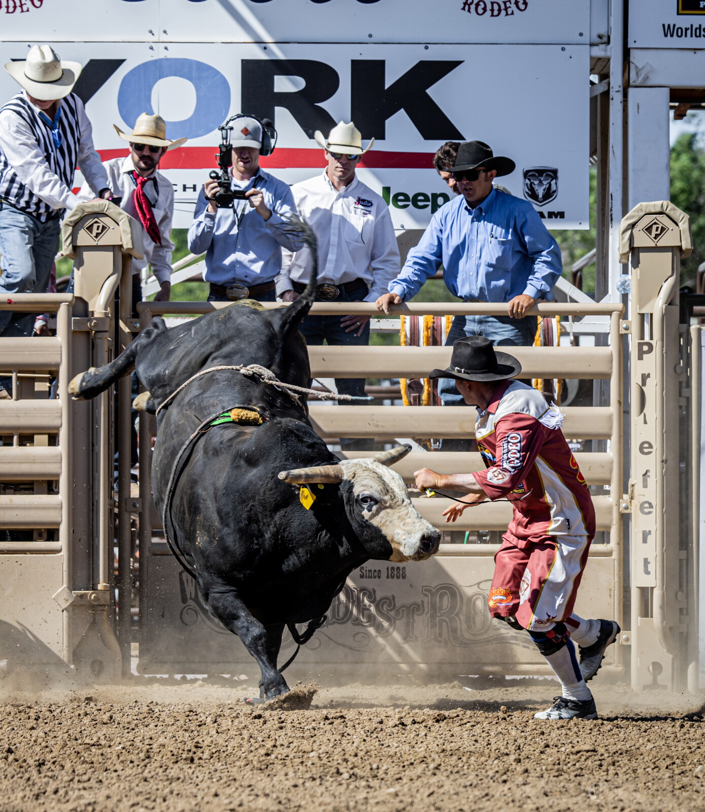 Prescott’s Legendary Rodeo Rides On Strong