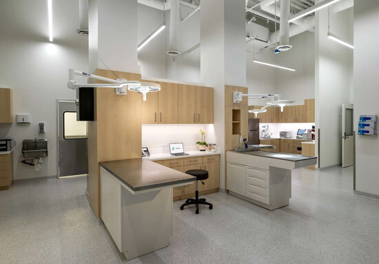 Promenade Veterinary Hospital is a bright, clean, state-of-the-art facility.