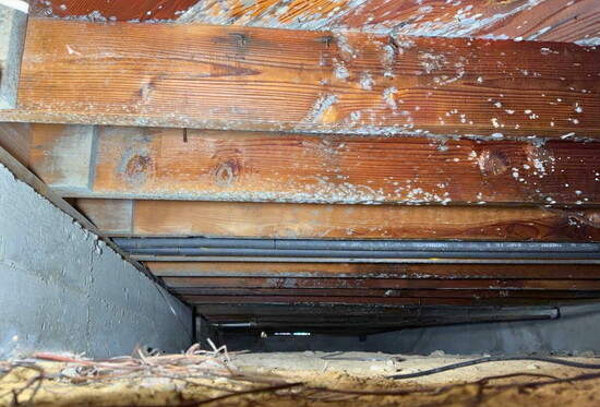 Signs of mold growth inside a home.