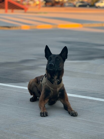 Photo Credit: Officer A Salcido