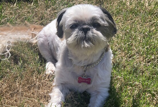 Sophie