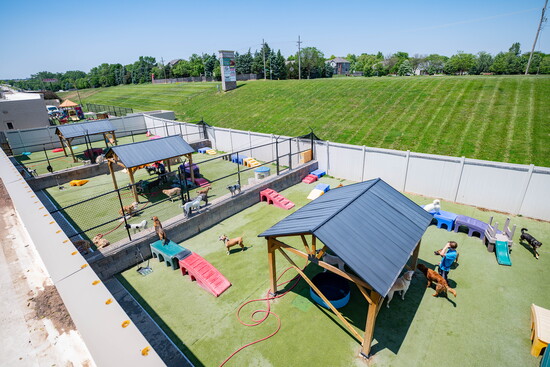 This luxury dog resort offers daycare, boarding, grooming, all-natural treats and more.
