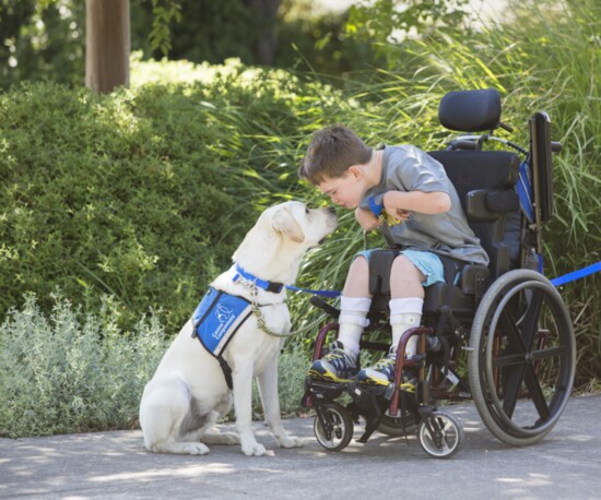 Dogs trained by Canine Companions can help clients with nearly 65 different disabilities.