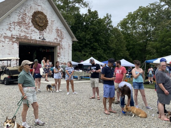 Old School Corgi Meetup