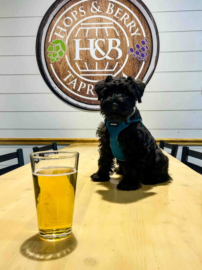 Hops & Berry Taproom