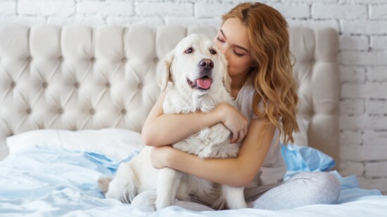 Purchasing and Selling Homes with Your Pet in Mind
