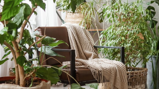 Cover photo for article