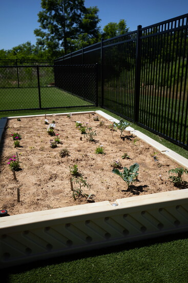 A garden at the Primrose School of Forest Hill. Photo Credit: Kerry Paradis Photography