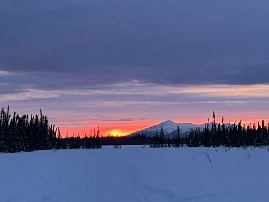 Rob Youngren Iditarod Trail