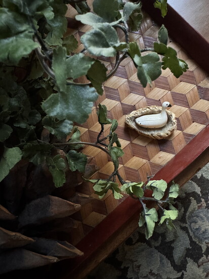 Photo by: Anne Golliher