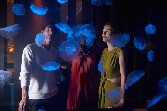 15-foot jellyfish tank