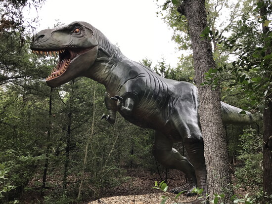 Photo Credit: The Dino Park