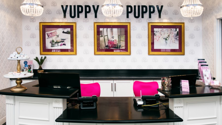 The yuppy puppy pet 2024 spa