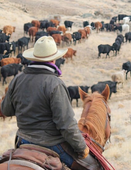 Arrow B Ranch. PC: Rachel Burk