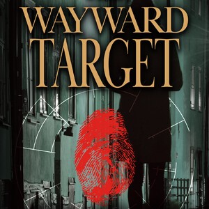 ouellette_the-wayward-target_fc-300?v=1