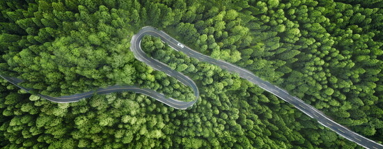 Aerial view of a windy road through the forest.