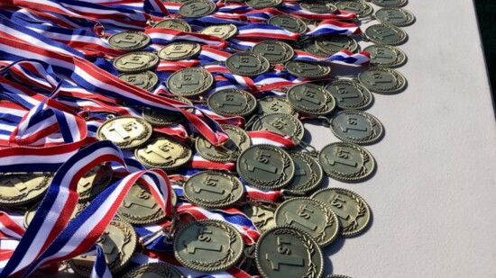 All the medals waiting patiently 