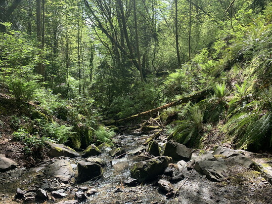 Pioneer Park