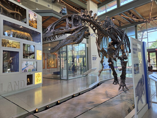The Witte Museum