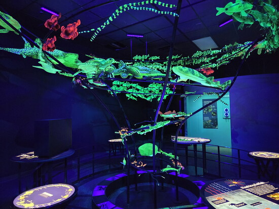 The Witte Museum