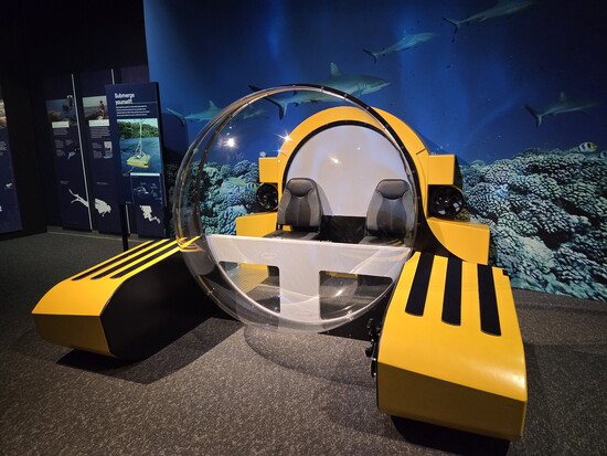 The Witte Museum