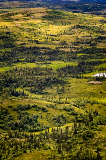 There are vast landscapes as far as the eye can see. 