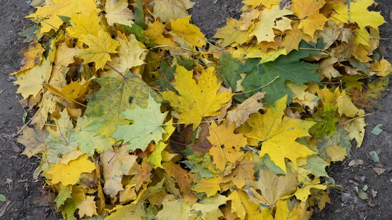 Featured image for Reflections On Gratitude
