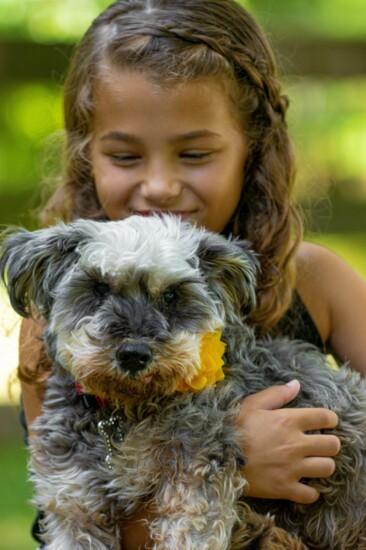 Schnauzer Mila is a 10-year-old Friends of Faye foster from Montgomery County Animal Shelter. 