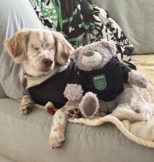 3. Benny/Cocker Spaniel Rescue of San Antonio and Austin