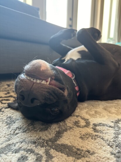 Luna