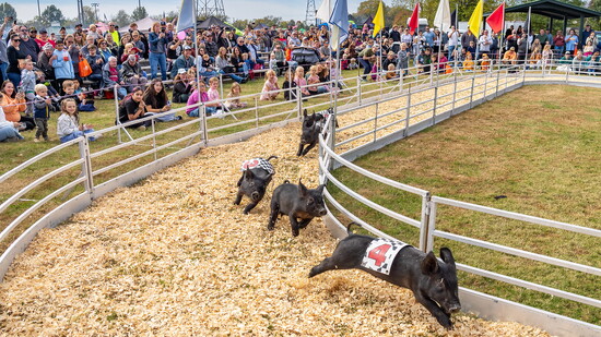 Saturday will be filled with family friendly activities, including pig races.