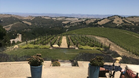 Returning to Paso Robles Wine Country & Beyond to Cambria
