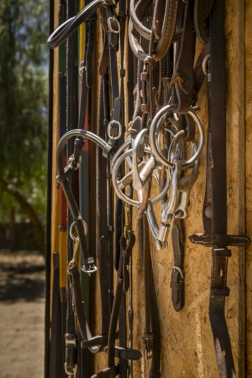 Gleaming bridles and bits hang in the GAIT tackroom at Temecula's Green Acres Ranch.