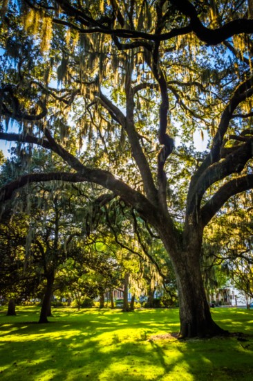 Sea Island, Georgia