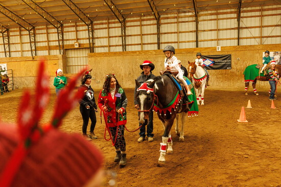 Courtesy Equestrian Bridges