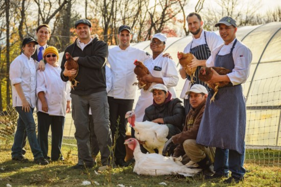 Executive Chef Chris Eddy and the Restaurant at Winvian Farm team. Photo by Winter Caplanson