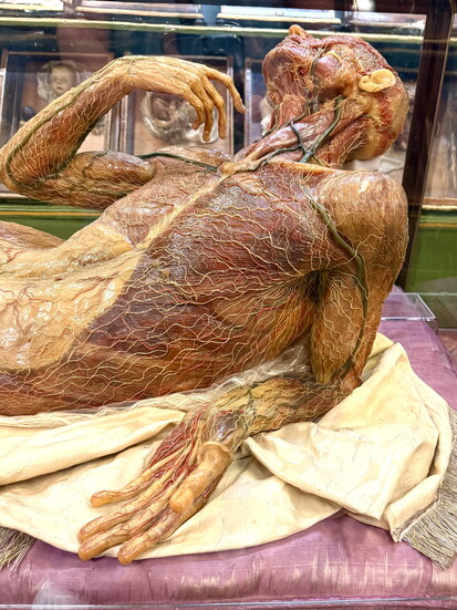 Science meets art in the La Specola museum in Florence.