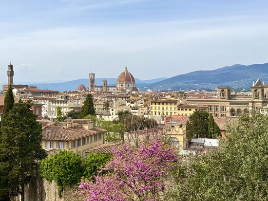 A skyline view of Florence from an overlook at the Rose Garden, Giardino delle Rose, below Piazzale Michelangelo.