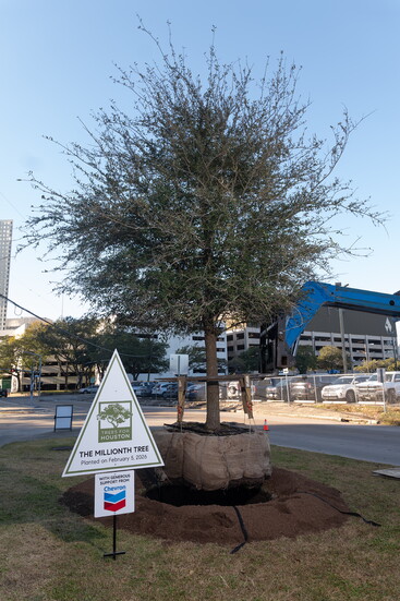 Ceremonial live oak planting marks Trees For Houston milestone. Photo by Daniel Ortiz 