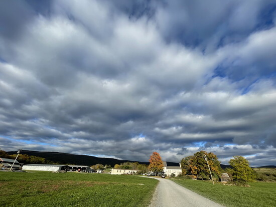 The landscape at Polyface Farms. Photo Credit: Wendy Gray