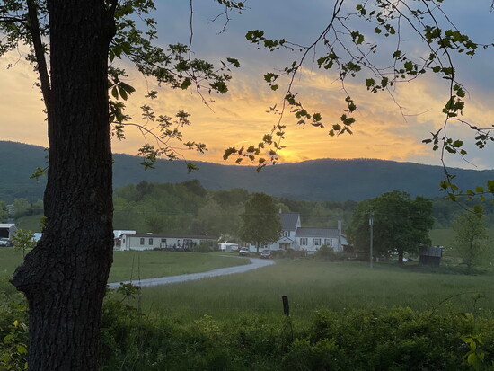 Polyface Farms. Photo Credit: Wendy Gray