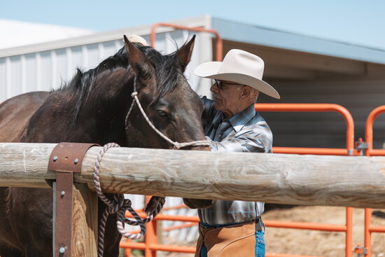 Don brushing his horse before a ride