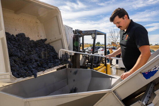 Jacob Alger, Winemaker & Production Manager, Huston Vineyards. 2023Idaho Winery of the Year